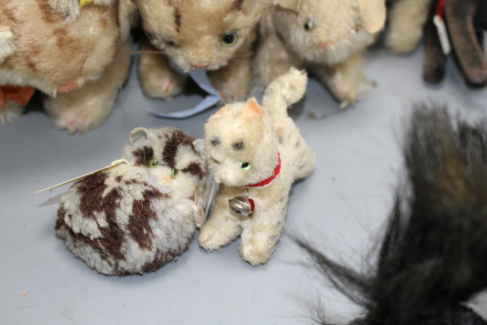 A collection of assorted soft toy cats
